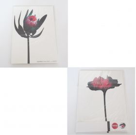 access(アクセス) tour 2003 パンフレット