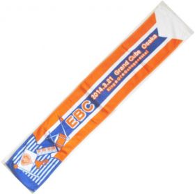 私立恵比寿中学(エビ中) Luck To The Future マフラータオル(大阪)