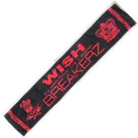 BREAKERZ(ブレイカーズ) LIVE 2009 WISH in 日本武道館 マフラータオル