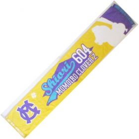 ももいろクローバーZ(ももクロ) ももいろクローバーZ 春の一大事 2013 西武ドーム大会 2013SEIBUDOMEマフラータオル(イエロー)