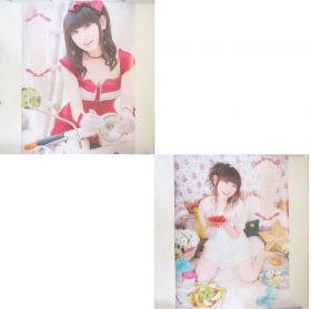田村ゆかり(ゆかりん) ポスター 特典ポスター（螺旋の果実）2枚組