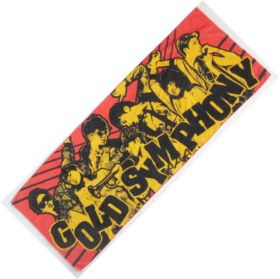 AAA(トリプルエー) ARENA TOUR 2014 -Gold Symphony- フォトスポーツタオル