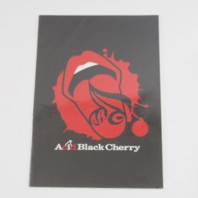 free live 2007　パンフレット