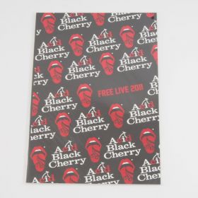 2011 FREE LIVE パンフレット