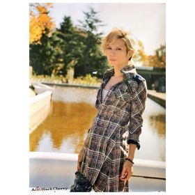 acid black cherry(abc) ポスター Recreation 3 購入特典