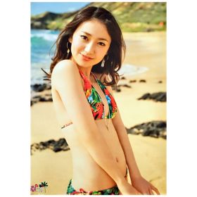 AKB48(エーケービー) ポスター 大島優子　水着