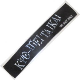 THE BACK HORN(バクホン) その他 マフラータオル THE BACK HORN KYO-MEI大会 2010