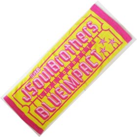 三代目 J Soul Brothers(JSB) LIVE TOUR 2014 BLUE IMPACT スポーツタオル プラモシリーズ