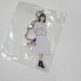 乃木坂46(のぎざか) その他 全身アクリルキーホルダー  インフルエンサー 西野七瀬