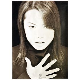 T.M.Revolution(西川貴教) ポスター T.M.R evolution turbo type D 1