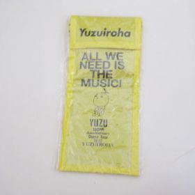 ゆず(YUZU) 20th Anniversary DOME TOUR 2017 ゆずイロハ チケットホルダー　ファーストシート 限定