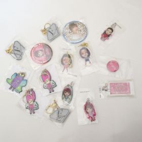 E-girls(イー・ガールズ) その他 キーホルダー 缶バッジ等15点 セット flower