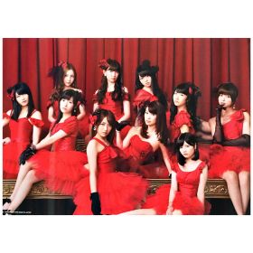AKB48(エーケービー) ポスター こじまつり AKBグループショップ 抽選当選品 小嶋陽菜 小嶋真子 サイン入り