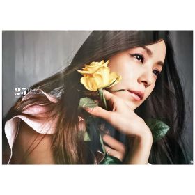 安室奈美恵(アムロ) ポスター Finally TOWER RECORDS ver タワレコ