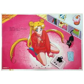 美少女戦士セーラームーン(セーラームーン) ポスター SuperS Part.2 バンプレキャラポスター NO.17 月野うさぎ＆ルナ