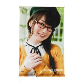 水樹奈々(NANA) ポスター タペストリー SMASHING ANTHEMS 1 ゲーマーズ特典 2015