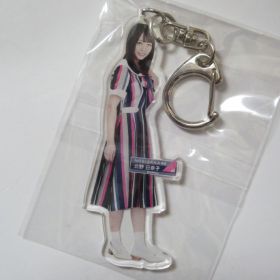 乃木坂46(のぎざか) その他 北野日奈子 全身アクリルキーホルダー ジコチューで行こう！