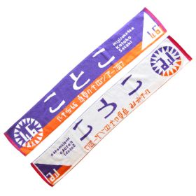 乃木坂46(のぎざか) 真夏の全国ツアー2017 推しメンマフラータオル 佐々木琴子