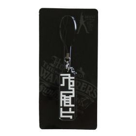 布袋寅泰(BOOWY) HOTEI & The WANDERERS FUNKY PUNKY TOUR 2007-2008 USBメモリー ストラップ