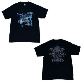 水樹奈々(NANA) LIVE FLIGHT 2014 Tシャツ(LIMITED TEE) パープル