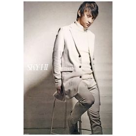 AAA(トリプルエー) ポスター sky-hi  カタルシス 特典 TOUR 2015 会場限定予約特典 日高光啓