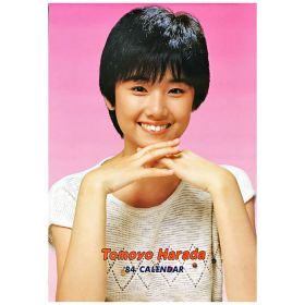 原田知世(はらだともよ) ポスター 1984年 カレンダー 7枚組 壁掛け