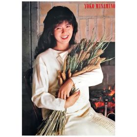 南野陽子(ナンノ) ポスター 1987年