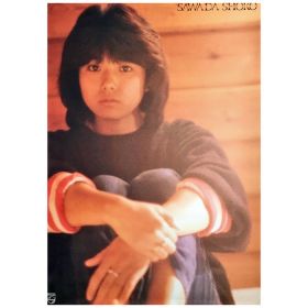 沢田聖子(さわだしょうこ) ポスター 黒服×ボーダー