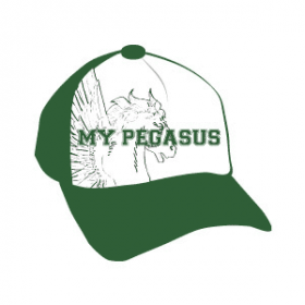 メッシュキャップ