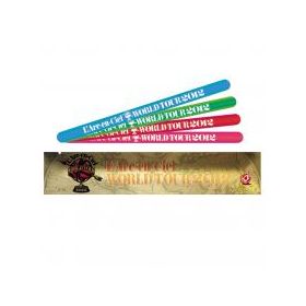 WORLD TOUR 2012 THE FINAL　ラニバーサイリューム