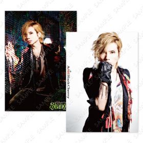 ポスター(両面)