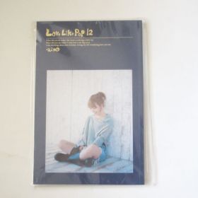 aiko(アイコ) Love Like Pop 12 ツアーパンフ