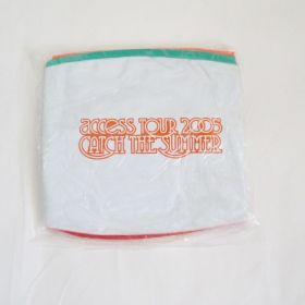 access(アクセス) tour 2005 ビーチボール