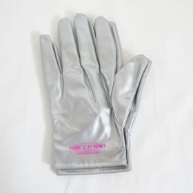 access(アクセス) tour 2005 グローブ ジャンク