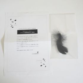 access(アクセス) tour 2003 Filin GHOST 羽