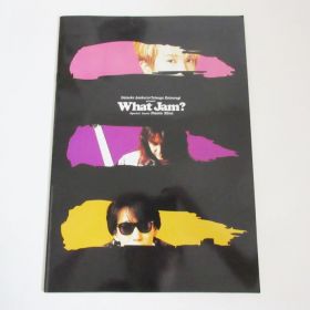 access(アクセス) 浅倉大介 パンフレット Daisuke Asakura・Tetsuya Katsuragi What Jam? 葛城哲哉 1995年