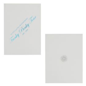 布袋寅泰(BOOWY) HOTEI & The WANDERERS FUNKY PUNKY TOUR 2007-2008 パンフレット