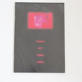 access(アクセス) 浅倉大介 iceman アイスマン パンフレット 1999 Iceman ACT STAGE GATE2