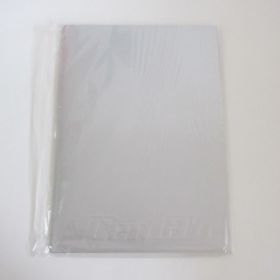 access(アクセス) 浅倉大介 iceman アイスマン パンフレット Iceman Tour 1997 POWER SCALE