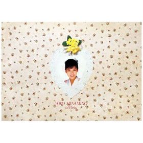 南野陽子(みなみのようこ) ポスター 写真集　in paris