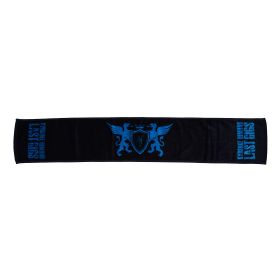 氷室京介(ヒムロック) オフィシャルグッズ wowow 限定 マフラータオル
