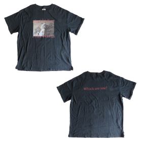 LiSA(リサ) LiVE is Smile Always?NEVER ENDiNG GLORY? BiG Tシャツ