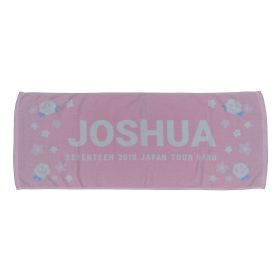 SEVENTEEN(セブチ) 2019 JAPAN TOUR HARU ジョシュア フェイスタオル