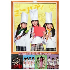 BABYMETAL(ベビーメタル) ポスター さくら学院 料理部 2012-2013 二代目ミニパティ 水野由結 菊地最愛 田口華