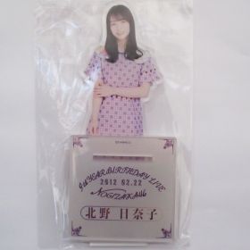 乃木坂46(のぎざか) 9th YEAR BIRTHDAY LIVE 北野日奈子 個別BIGアクリルスタンド アクスタ