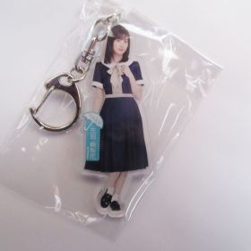 乃木坂46(のぎざか) その他 生田絵梨花 個別全身アクリルキーホルダー 夜明けまで強がらなくてもいい