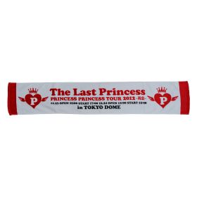 プリンセス プリンセス(プリプリ) PRINCESS PRINCESS TOUR 2012 ?再会? マフラータオル