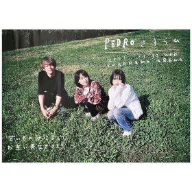 BiSH(ビッシュ) ポスター PEDRO さすらひ アユニ・D