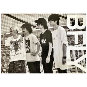 BUMP OF CHICKEN(バンプ) ポスター TOUR 2016 BFLY タワーレコード ver