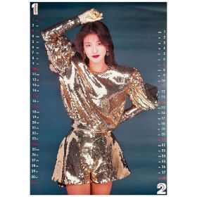 森高千里(もりたかちさと) ポスター カレンダー 1993 6枚組 切り離し有り バラ6枚 壁掛け